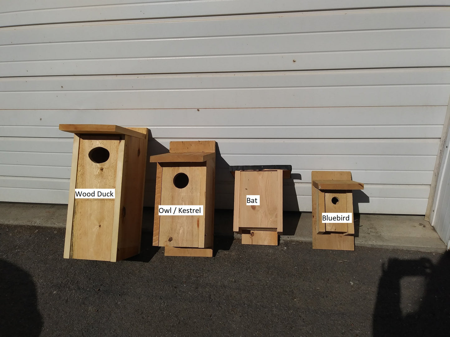 Owl / Kestrel Nest Box